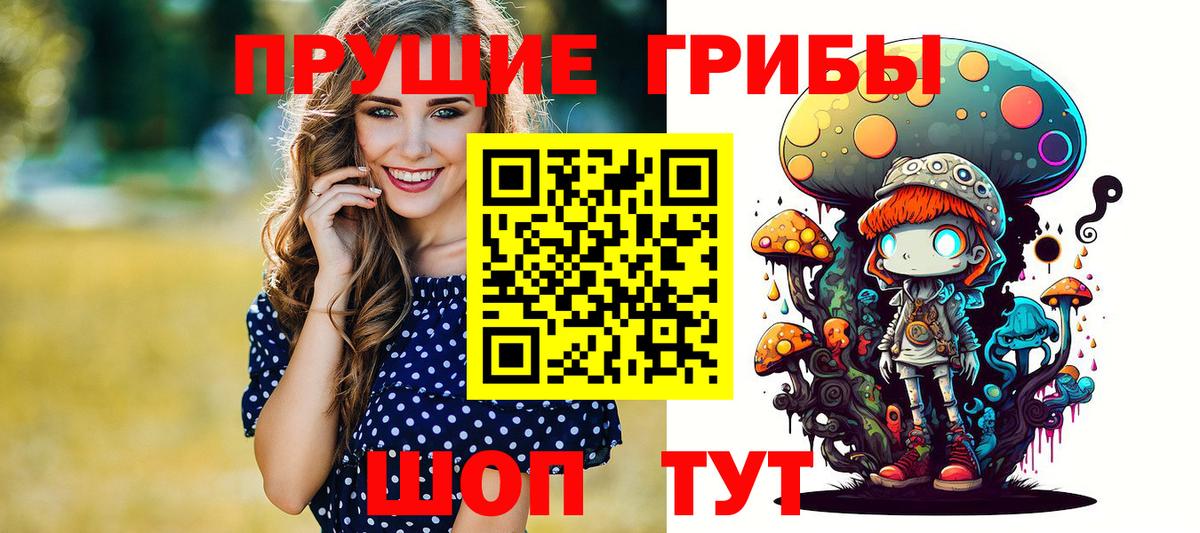 купить наркотики сайты  Галлюциногенные грибы Magic Shrooms  Вход с VPN  Каменка 