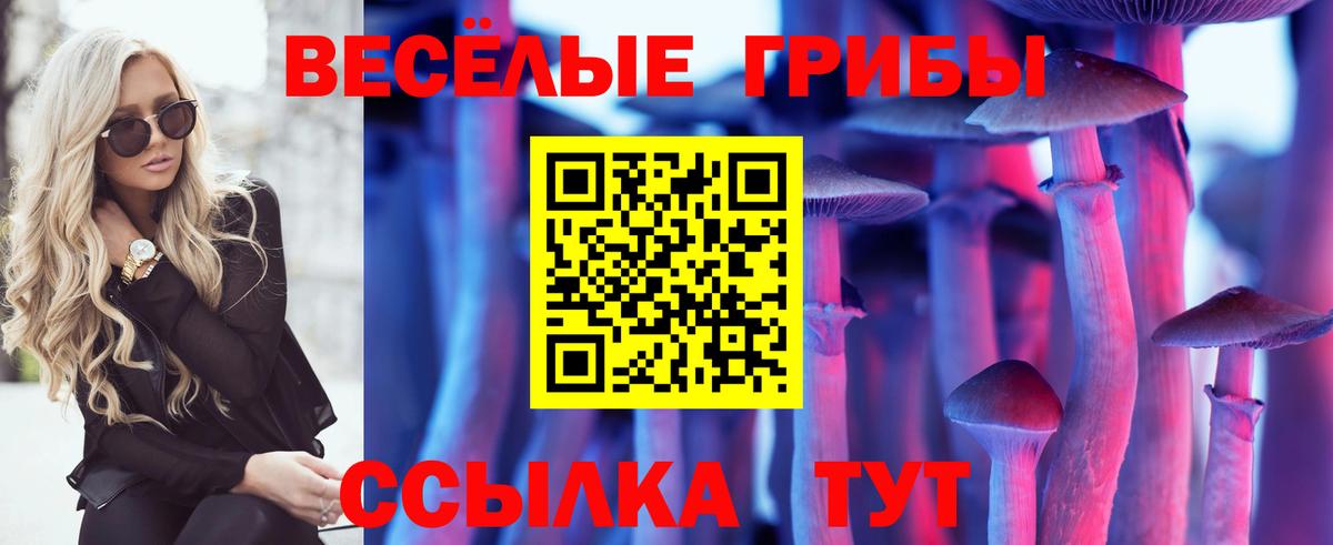 Галлюциногенные грибы прущие грибы Каменка