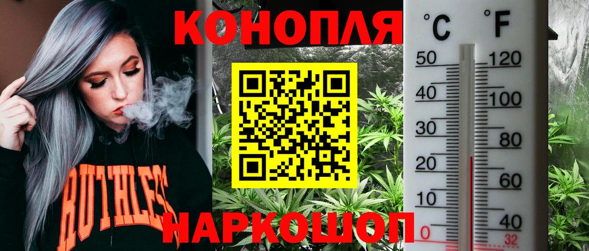 Канабис Bruce Banner Каменка